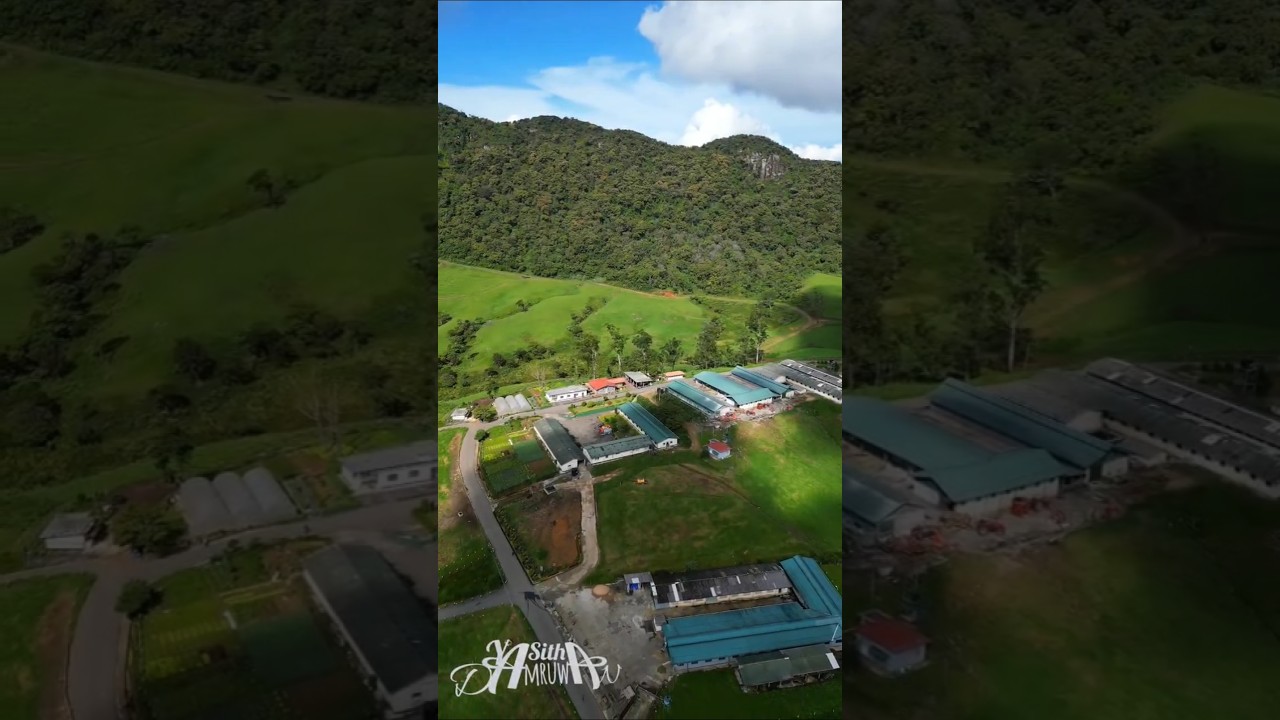 YouTube Short thumbnail