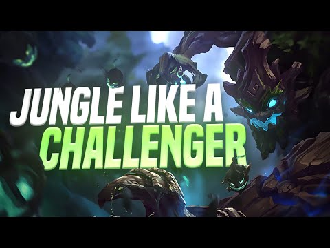 10 Minutes of ACTUAL Challenger Jungle Coaching
