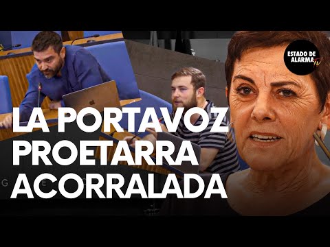 Las fulminantes respuestas de Cardenas y Negre que dejan sin sonrisa a la proetarra Aizpurua
