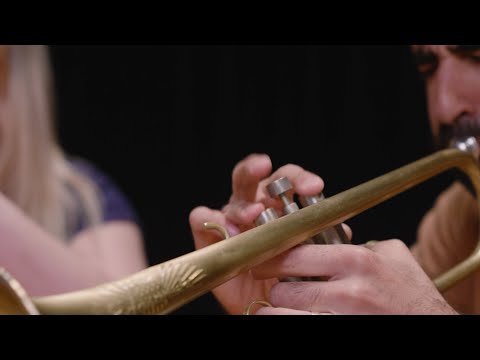 The Westerlies – "Fight On"