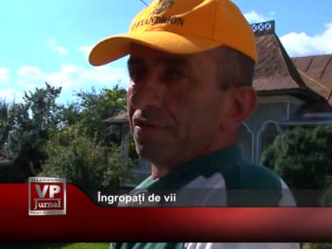 Îngropați de vii