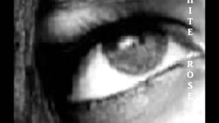 You&#39;ve Never Tasted Tears