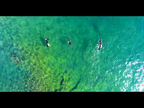 Superior Swimmers of Minnesota’s North Shore