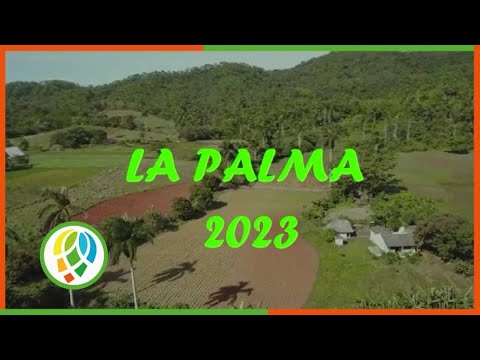 Resumen del acontecer del municipio de La Palma durante el año 2023