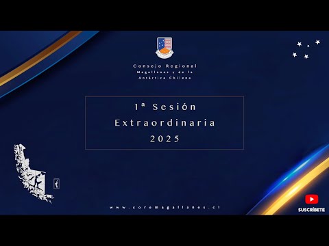 2025 - 01ª Sesión Extraordinaria del Consejo Regional de Magallanes y Antártica Chilena 04-01-2024