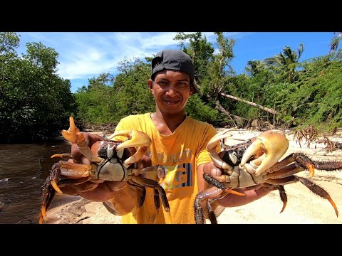 Land Crab "Kuray" Mud Trapping + Net Fishing | Catch & Cook