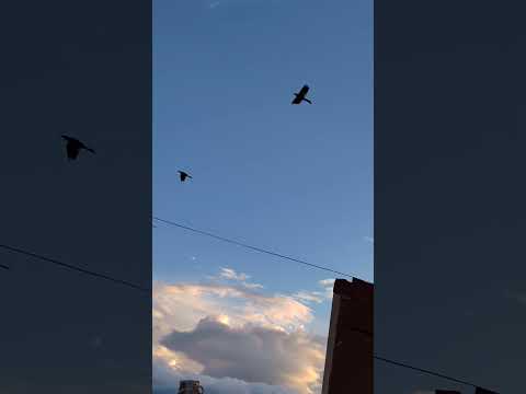 Plane thru cloudscape Barva de Heredia Costa Rica Nov 21 2025