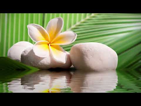 Aukahi Pride-Worlds Apart