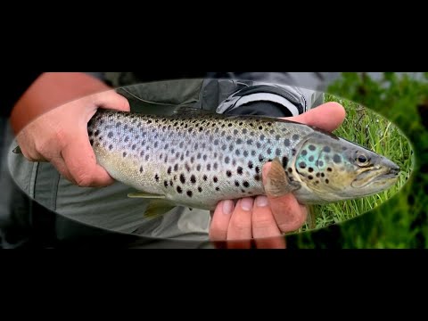 rennostiretkella.fi - Ivalojoki 2019 - Osa 1