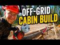 Debarking ALL These Logs For My Log Cabin (+ New Cabin Location?) - Off-Grid Cabin EP7