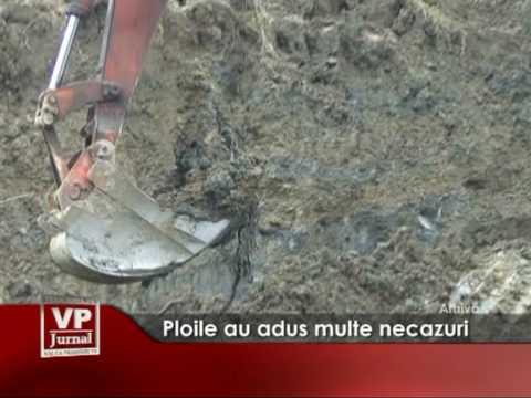 Ploile au adus multe necazuri