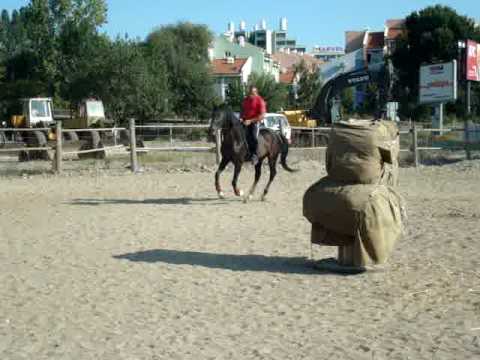 Nikolay Vasilev Horse Riding