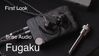 First Look 30 Brise Audio Fugaku: End Game?
