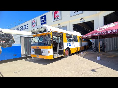 Richo1's Transport Vlogs 33: Queensland omnibus and Coach Society open day.