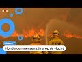 Recordaantal bosbranden in Australië