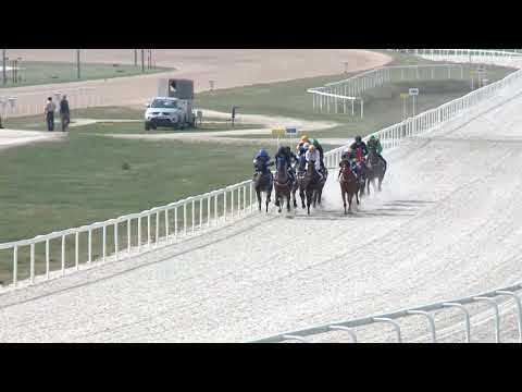 2019.04.07. 02. futam - NYERETLENEK VERSENYE (V.kat.) (szintetikus pálya)