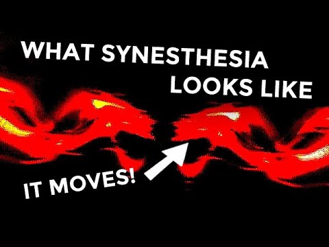What Synesthesia Looks Like: Infected Mushroom - Fields of Grey ft. Sasha Grey