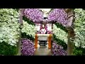 Ashadi Ekadashi Special WhatsApp Status