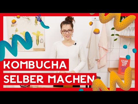 Kombucha selber machen 🍹 I DIY schnell und gesund I Brew it yourself!