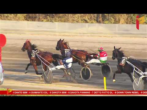 VII Corsa del 9 Settembre 2023 - 4 Anni - Metri 2000/2020 - TQQ