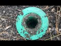 Sentricon® Station Succeeds Attracting Subterranean Termites in Ocean Grove, NJ
