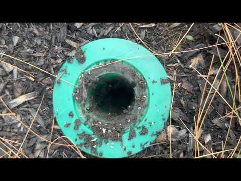 Sentricon® Station Succeeds Attracting Subterranean Termites in Ocean Grove, NJ