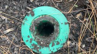 Sentricon® Station Succeeds Attracting Subterranean Termites in Ocean Grove, NJ