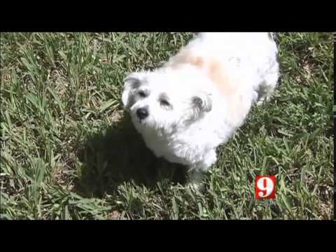 Lawyers Today takes on Bullying Homeowners Association!