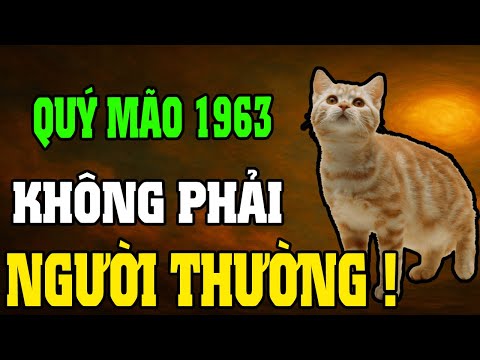 Quý Mão 1963–Cuộc Đời Khổ Vì Có Căn Trả Nghiệp, Nhưng Hậu Vận Là Đại Phúc Nếu Hiểu Được 7 Điều Này