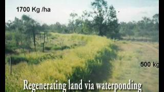 Stop the Green carnage  - There is a better way