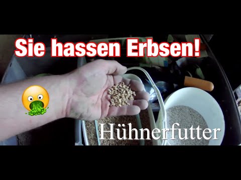 Wie Hühner füttern? Hühnerfutter Weizen, Erbsen und Pellets Kaisermühle Hühner Futter Chickendinner