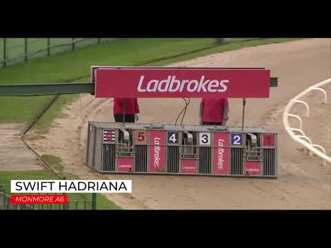 Swift Hadriana - 3rd September 2020