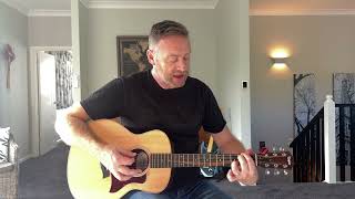 How to play Swan Dive by Ani Difranco