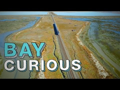 Drawbridge, the last ghost town of San Francisco Bay