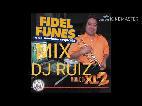 🔥MIX FIDEL FUNES, DJ RUIZ EL ESPECIALISTA🔥