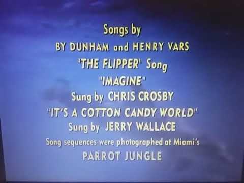 Metro-Goldwyn-Mayer (Flipper's New Adventure Variant)