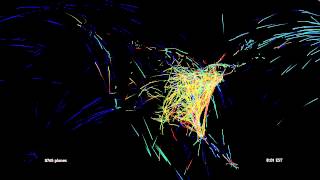 Flight Patterns | Smithsonian Institution