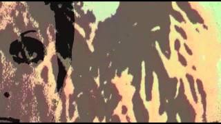 Odjenar Miles Davis mpg