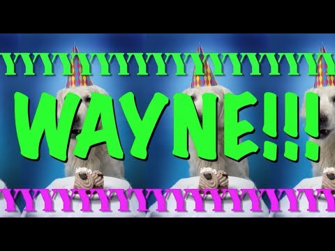 download lagu mp3 mp4 Happy Birthday Wayne, download mp3 Happy Birthday Wayne free download, download mp3 Happy Birthday Wayne