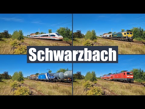Trainspotting in Schwarzbach bei Ruhland mit Br. 112, Freightliner Class 66 Siemens Mireo uvm.