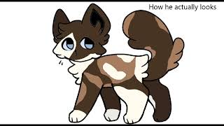 How I thought warrior cats looked VS how they actually look