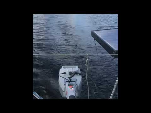 Pogo 6.50 mit Elektromotor Torqeedo Travel 1003 CL