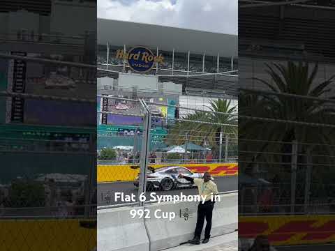 Thumbnail for Porsche Carrera Cup Miami 2023 by Porsche, Porsche Carrera Cup, Car, Porsche Carrera GT