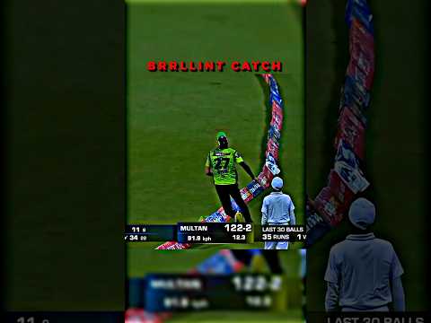 BEAUTIFUL CATCH 🥵🥶 #cricket #shorts