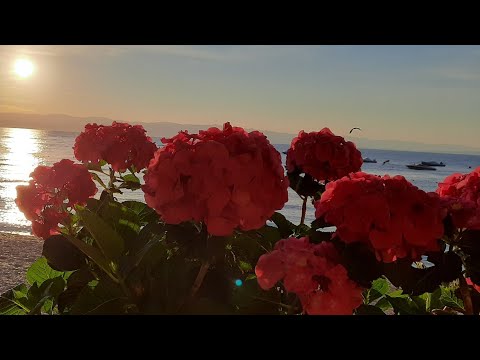 It's my best vacation ever: Croatia-2020