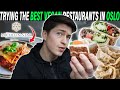 Testing The BEST RATED Vegan Restaurants In Oslo | Michelin Star Chef, Cake, Lasagna & More!