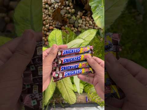 Free Snickers 100% റീഫണ്ട് #viral #shortvideo #m4tech #shorts #trending #snickers #chocolate