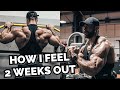 PREP MENTAL UPDATE | FULL BACK AND BICEPS WORKOUT