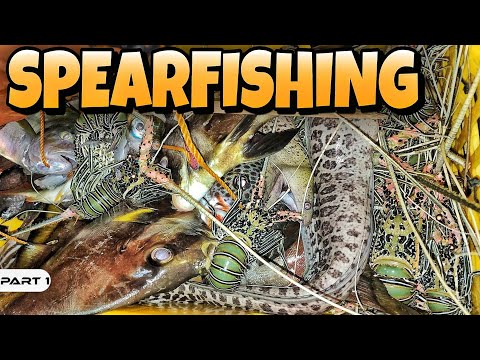 EP983-P1 - Spearfishing in Lubang Island