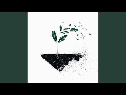 Celebra victorioso (En Vivo)